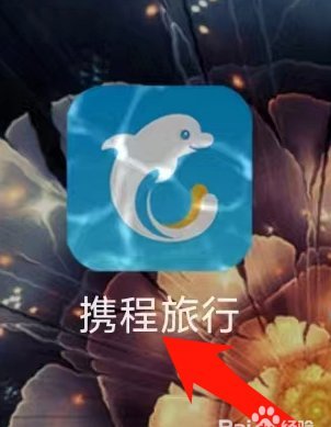 携程拿去花是哪家公司