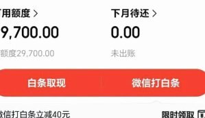 京东白条取现使用技巧