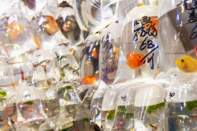 海鸥花呗平台 出来多少钱