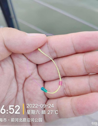 白条秒到：玩转信用，高效转账