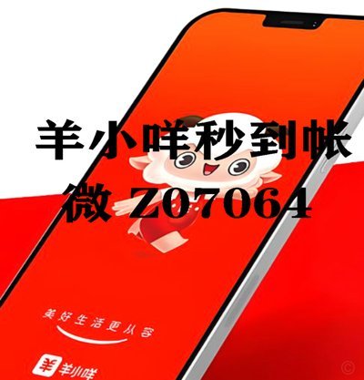 羊小咩的购物额度怎么套出来