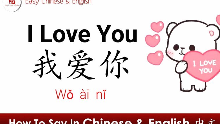 鹿优选先享卡上征信吗