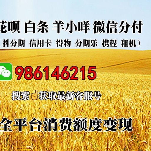 羊小咩商城额度机制：如何提升交易权限和商业潜力？